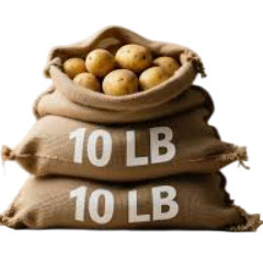 WHITE POTATOES 10LB BAG