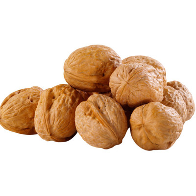 SHELLED WALNUTS 